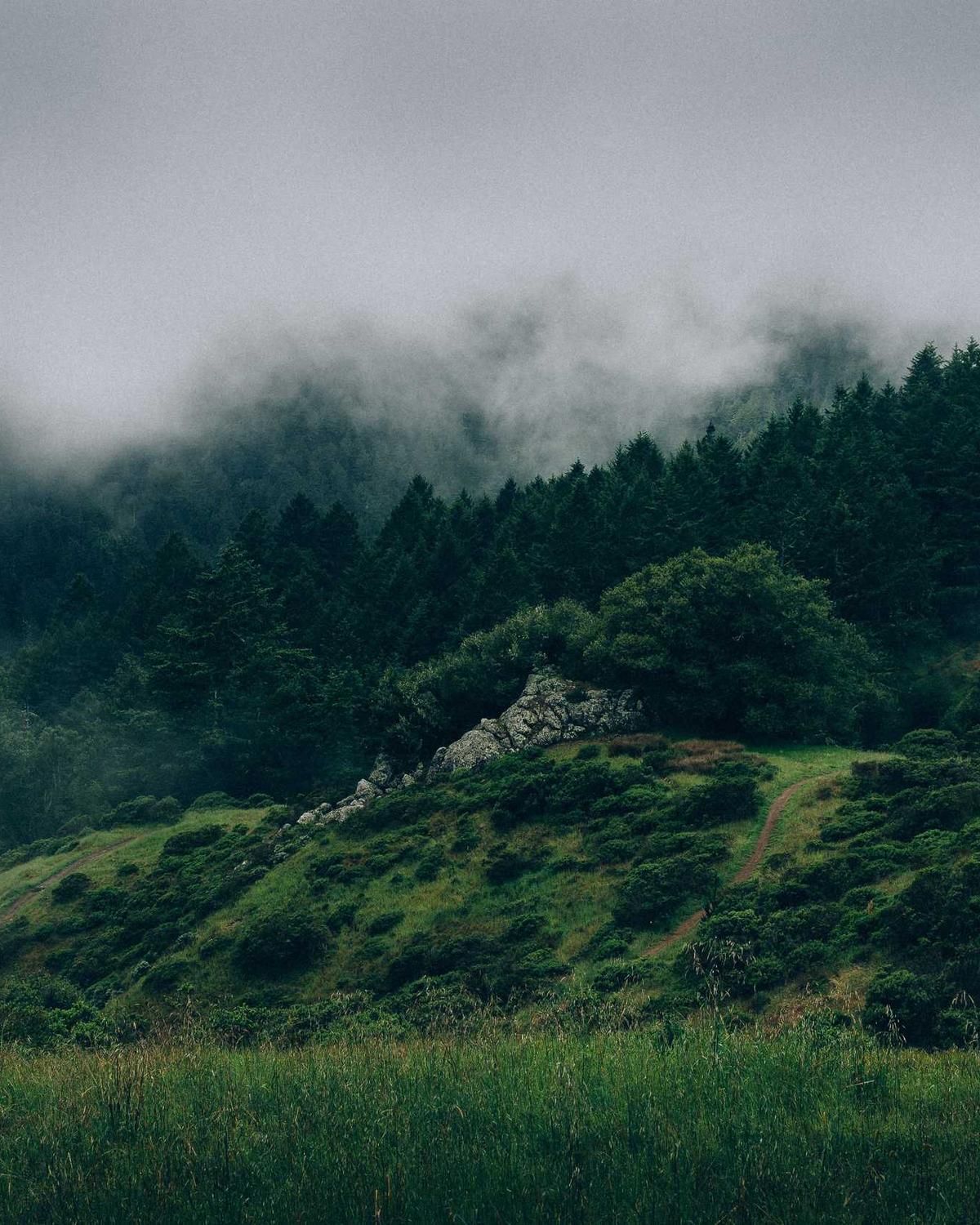 Landing Experience